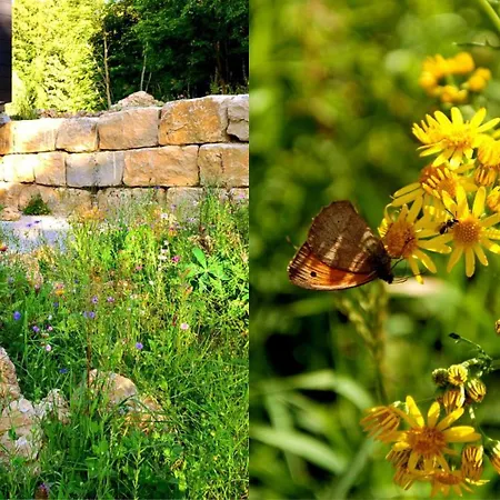 Refugium I Bio-design-ferienwohnungen Appartamento Betzenstein